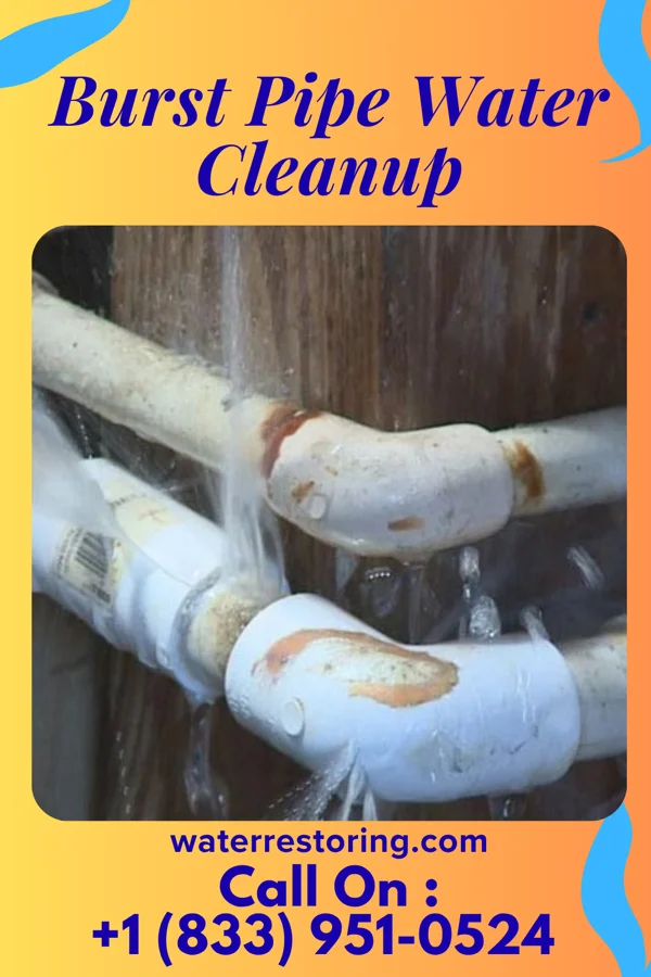 Burst Pipe Water Cleanup in Pleasureville, KY