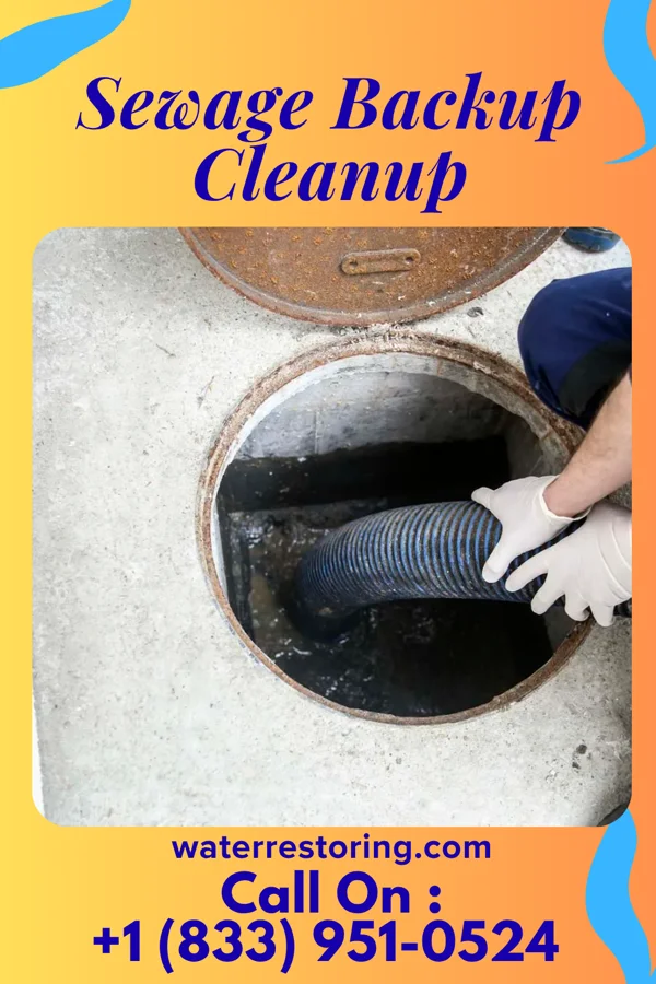 Sewage Backup Cleanup in Pleasureville, KY
